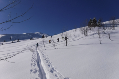 Roche-parstire_037