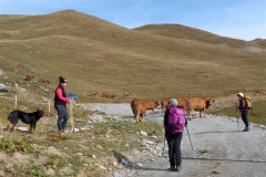 Rocher-du-vent_02-Small