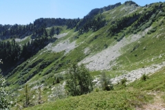 rognier-traversée-18