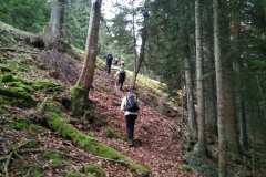 Sentier-Le-Molliet-Val-Pelouse_006