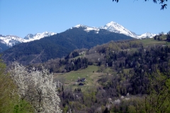 P1010221