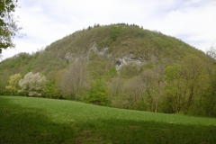 P1010227