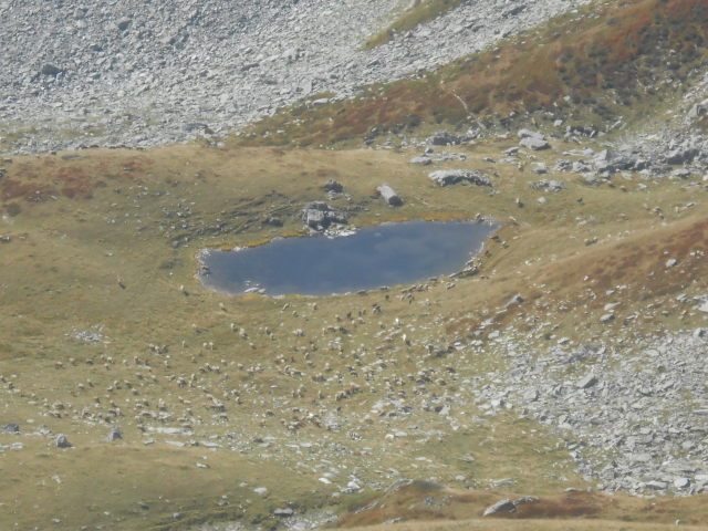 tête de la perrière (6)