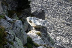 Tête de la Perrière_16