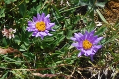 DSCF3346-Small