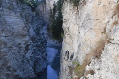 DSCF2439